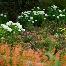 Colorful Shrubs and Perennials Under Trees