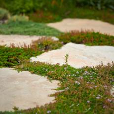 Large Stone Pavers With Creeping Thyme