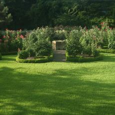 Idyllic Rose Garden With Boxwood Parterres