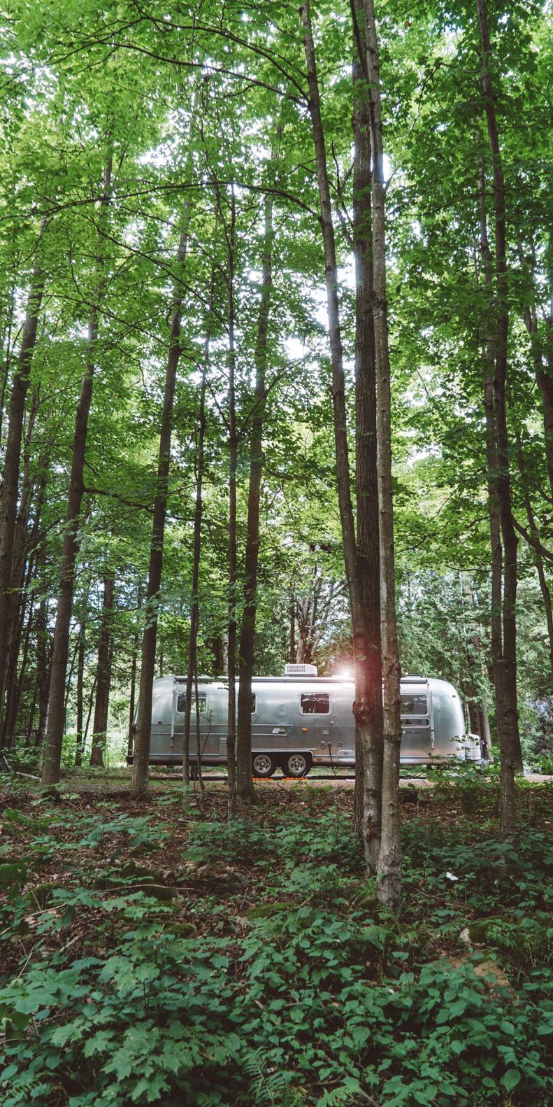 A 1976 Airstream Sovereign parked amid tall trees in forest.
