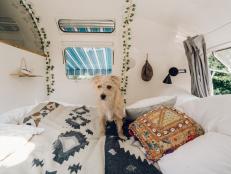 A white dog sits on a bed decorated with colorful pillows.