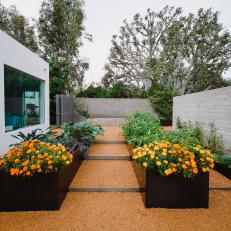 Modern Planters in Courtyard