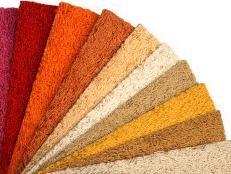 Carpet Samples in Warm Colors
