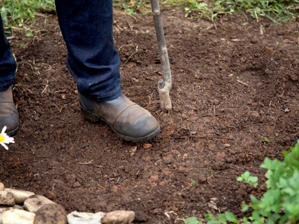 Step gently to avoid compacting the soil around the tree's roots, especially if the soil is already wet.