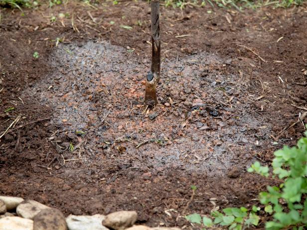 Give the freshly planted tree water until the water has fully penetrated into the root ball and the soil in the hole.