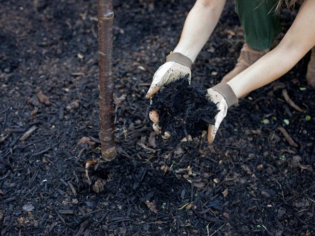 A healthy layer of mulch is a great way to suppress weeds, conserve moisture and provide a visual barrier for mowers and string trimmers.