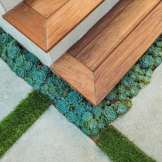 Wood Steps and Succulent Border