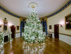 Interior view of the 'Gift of Peace and Unity' themed Blue Room and official White House Christmas Tree as seen on White House Christmas 2021. ..Cascading down the tree, peace doves carry a shimmering banner embossed with the names of each state and territory of the United States, reminding us all of the importance of unity and national harmony.
