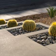 A Contemporary Walkway Features Rectangular Planter Boxes That House Landscape Stones and Cacti
