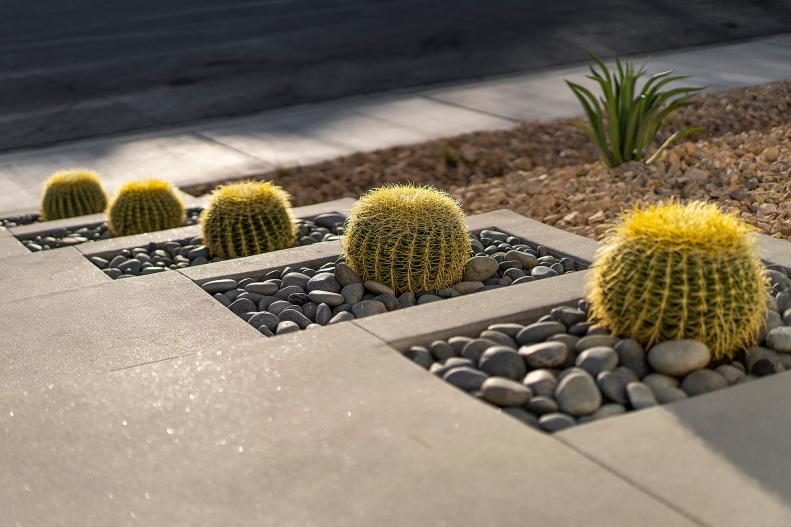 A Concrete Walkway Features Planter Boxes That House Stone and Cacti
