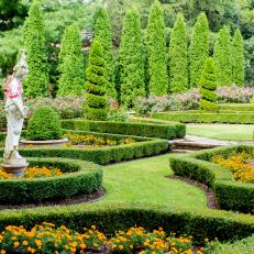 Formal Garden With Hedges and Yellow Flowers