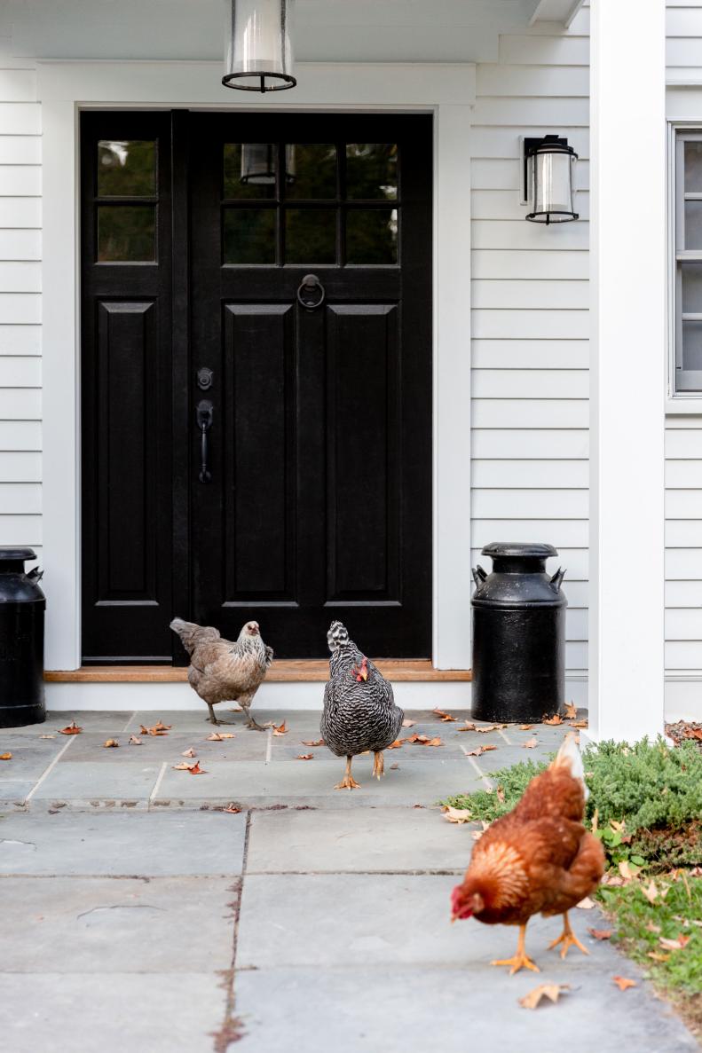 Chickens roam in front of a farmhouse door