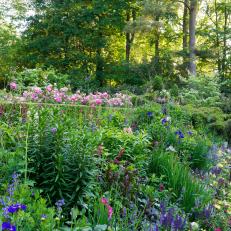 A Lush Garden Features a Variety of Garden Beds that Showcase Flowers and Manicured Shrubs