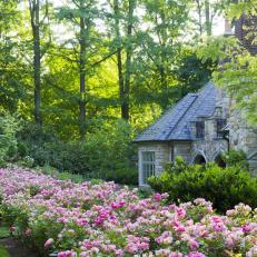 A Lush Backyard Garden Is Surrounded by Trees and Foliage and Features Flower Bed Filled With Pink Flowers