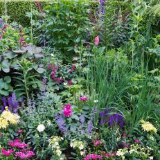 A Lush Garden Bed Features Colorful Flowers, Plants and Shrubs