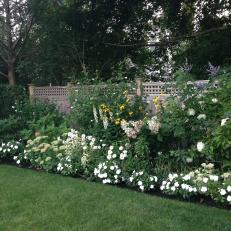 Gorgeous Garden With Flowers Below Wooden Fence