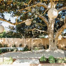 A Relaxing Backyard Oasis Features a Large Tree Filled With Lanterns and a Hanging Rattan Chair