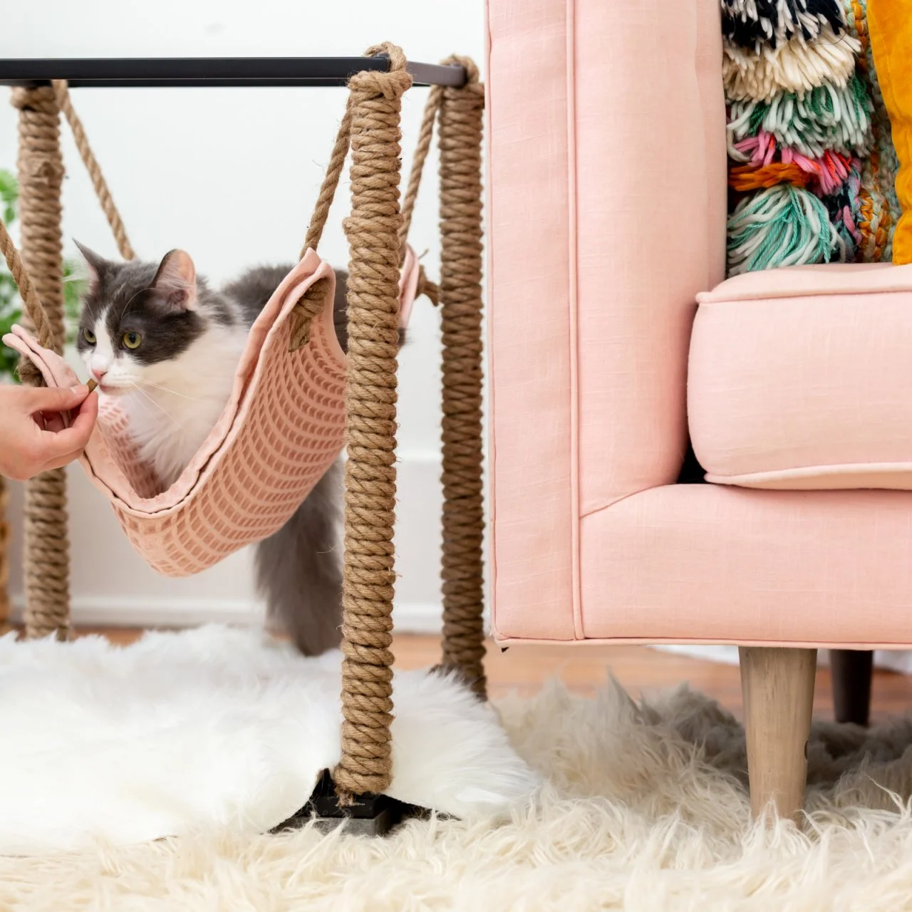 Diy cat hammock under table outlet