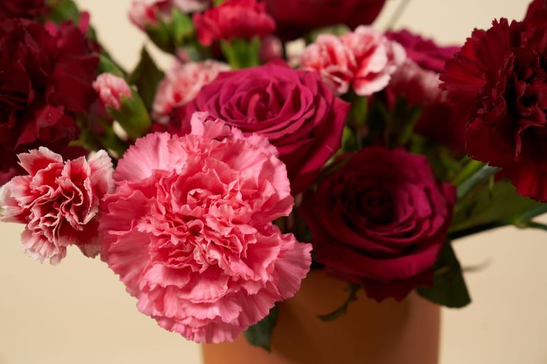 Close Up of Carnation Flower With Roses in the Background