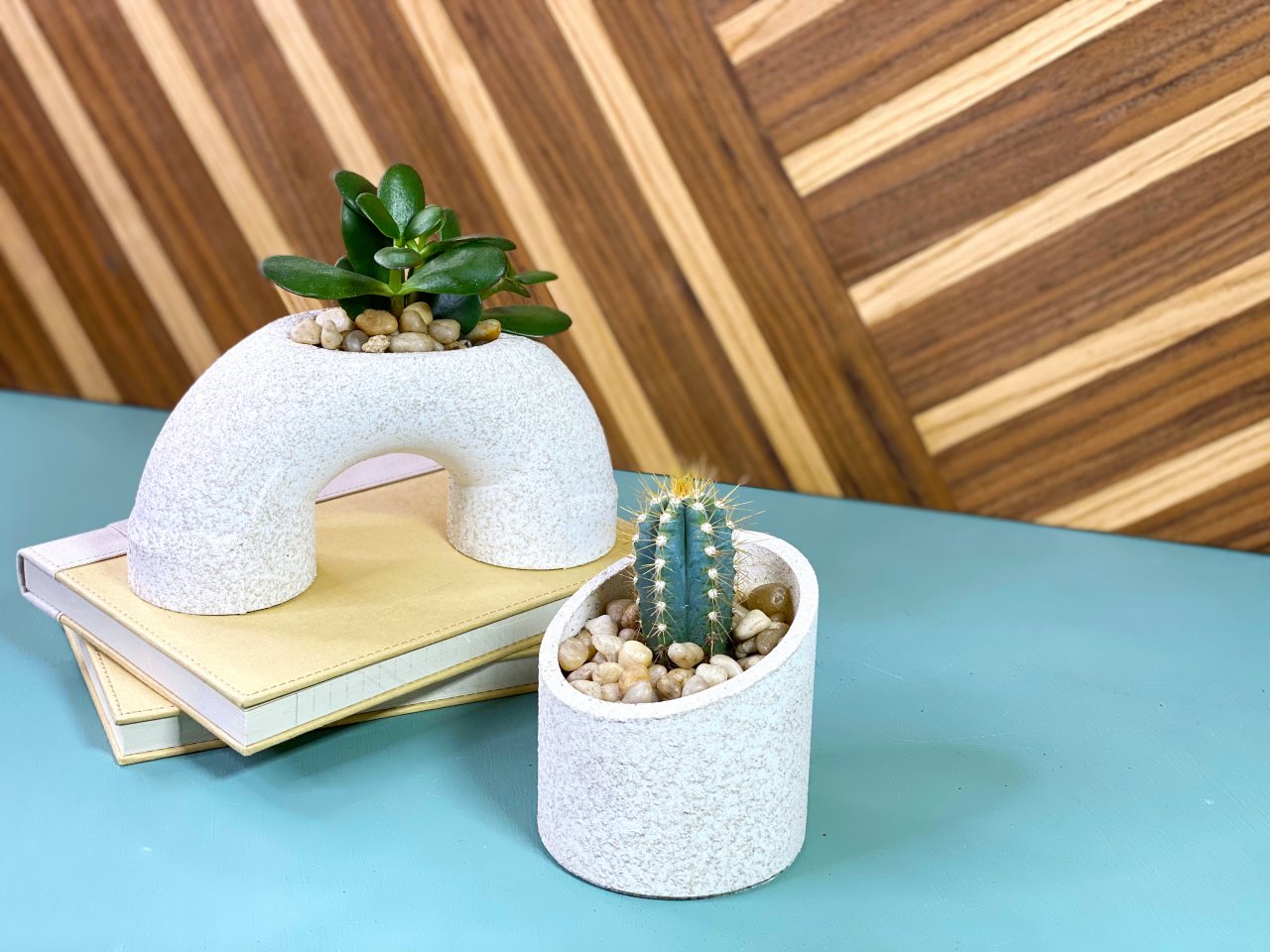 Make PVC Pipe Cacti and Succulent Planters HGTV