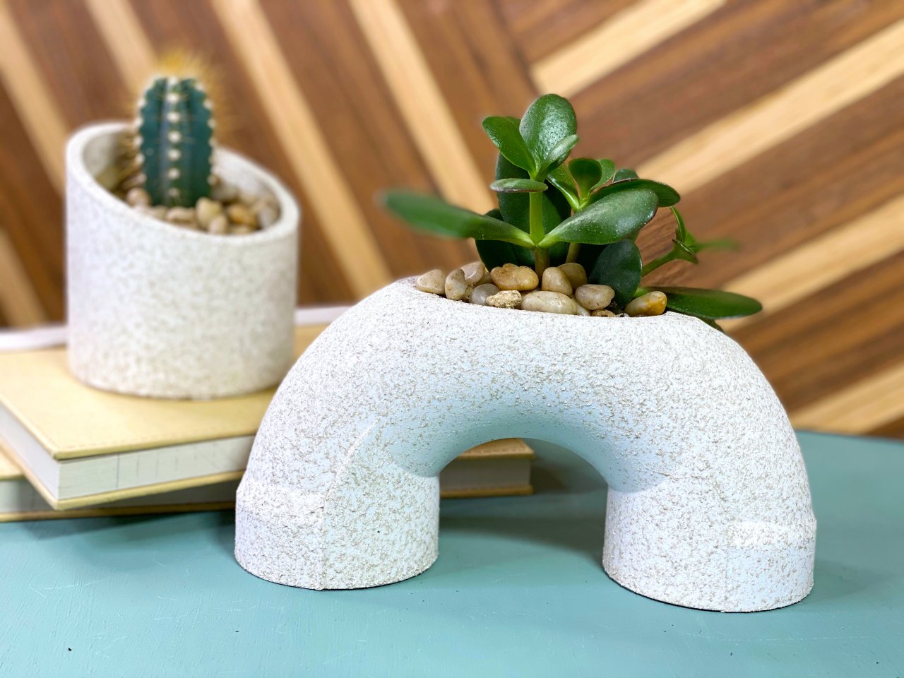 Make PVC Pipe Cacti and Succulent Planters HGTV