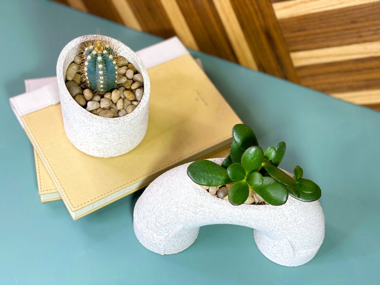 Make PVC Pipe Cacti and Succulent Planters HGTV