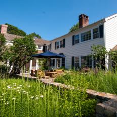 Meadow Plants in Garden Beds