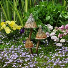 Mushrooms and Purple Flowers