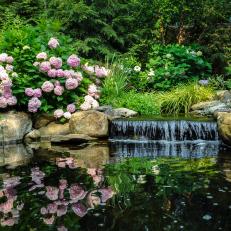 Pond and Purple Hydrangeas