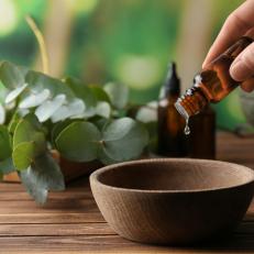 Eucalyptus Leaves And Hand Holding Bottle With Drop Of Oil