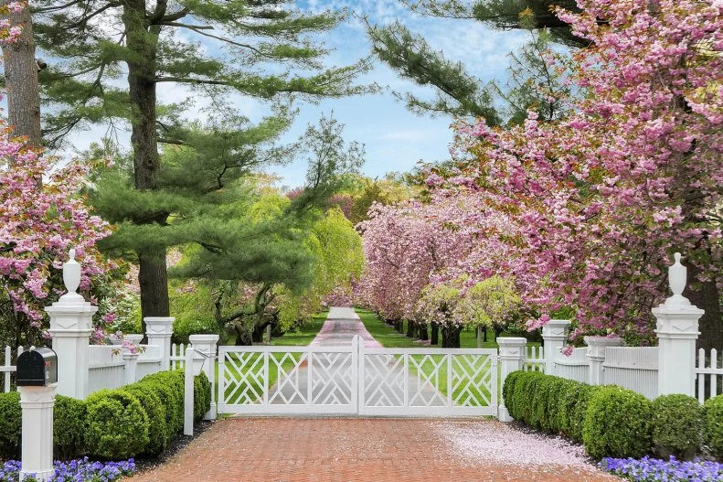 White Entry Gate Leads to Residence's Drive Lined in Cherry Trees