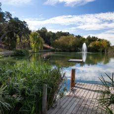 Tree-Lined Pond for 64-Acre Vineyard Estate