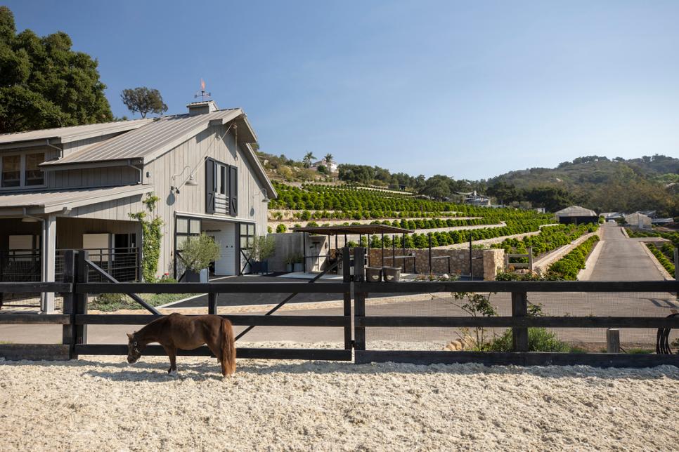 Santa Barbara Ranch With a Coffee Orchard and Entertainment Barn | 2021 ...