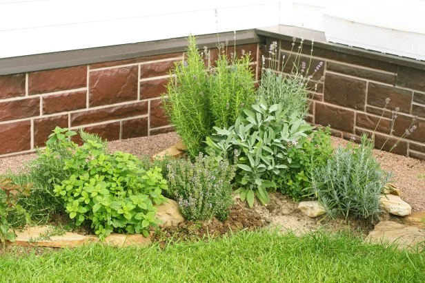 Pocket Herb Garden 