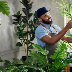 This talented plantsman has a new line of garden tools and plants coming to Target.