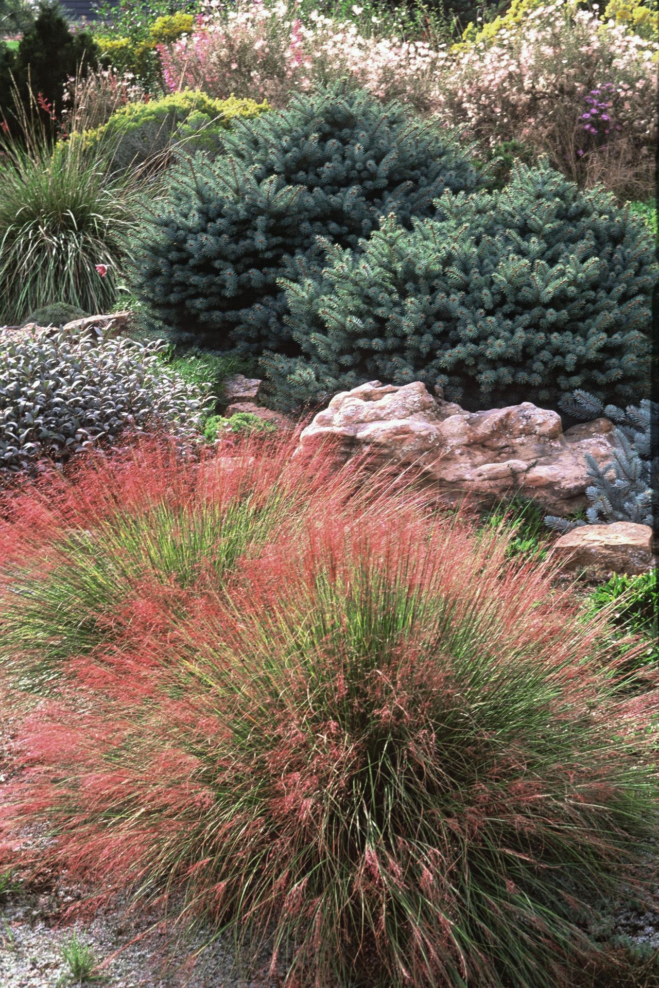 30 Gorgeous Rock Garden Designs, Rock Garden Ideas