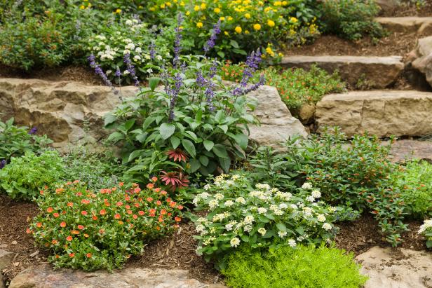 Rock Garden With Perennials