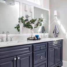 Gray and Blue Main Bathroom With Branches
