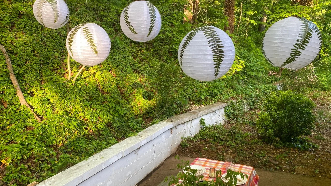 Botanical Paper Lanterns How to Press Ferns HGTV