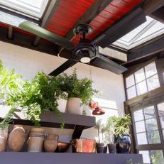 Skylights in a Greenhouse Made From Upcycled Windows