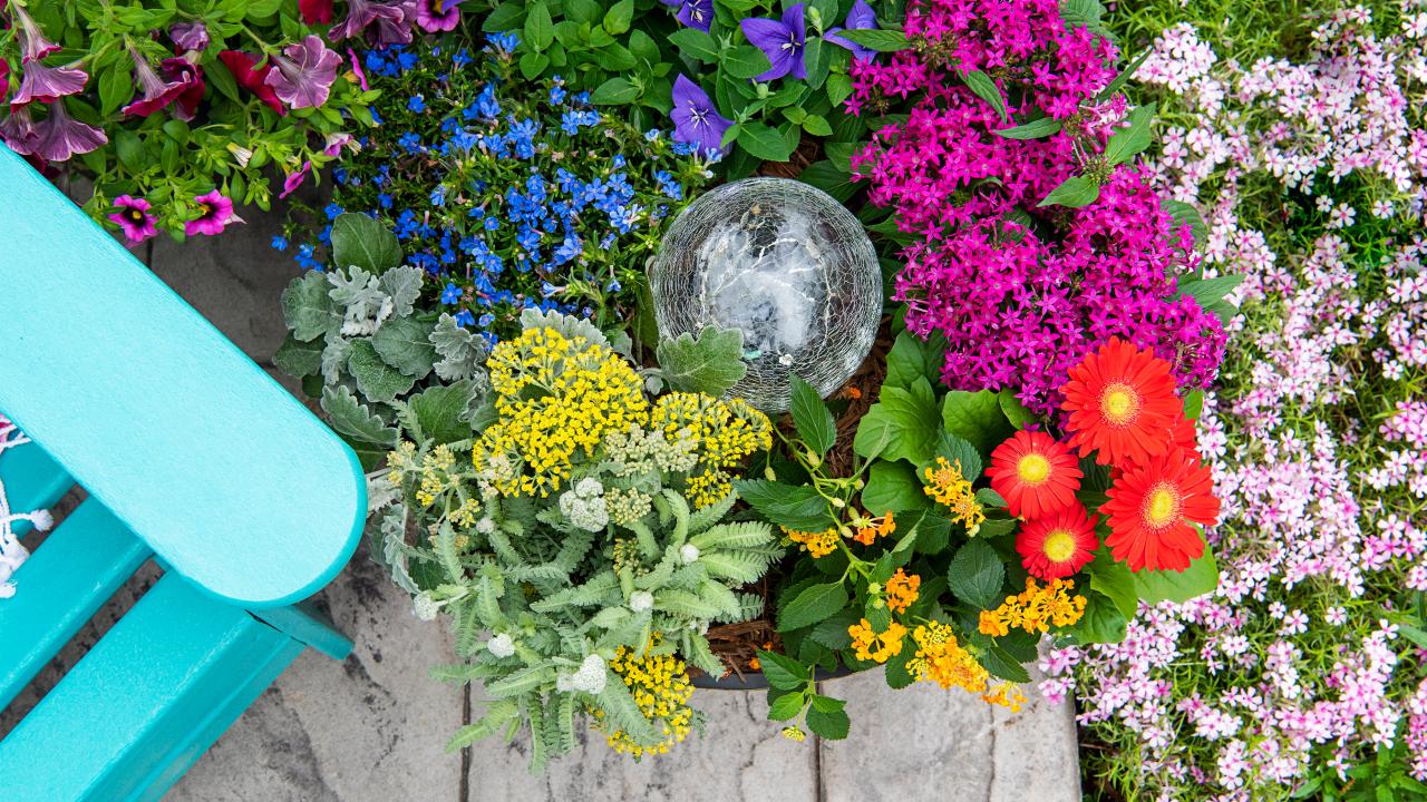 Annual Containers  White Flower Farm