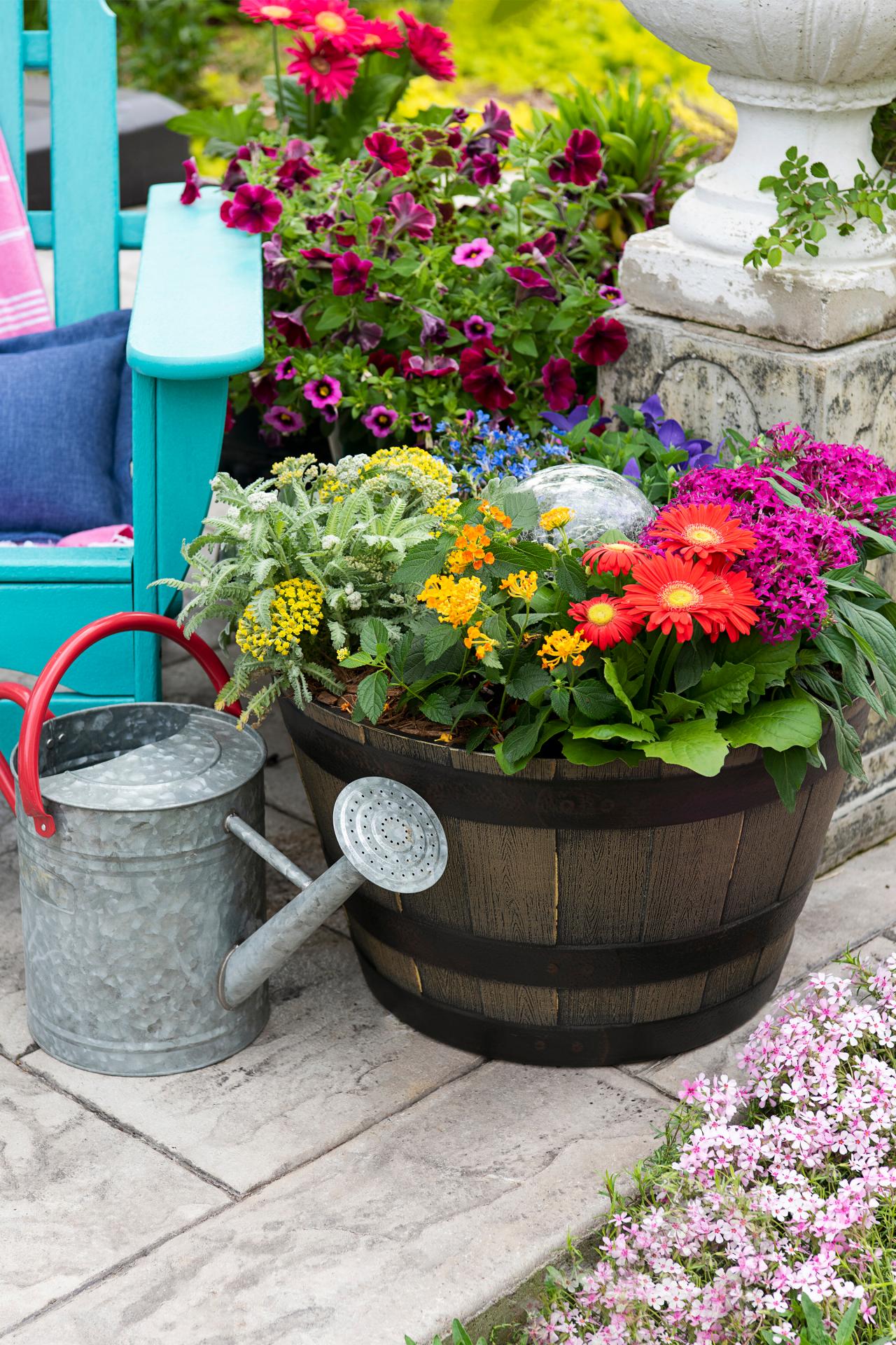 How to Plant a Rainbow Container Garden   HGTV