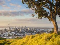 Auckland is postcard perfect from nearly every view