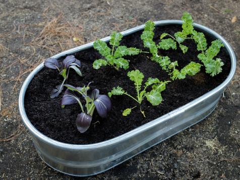How to Turn a Galvanized Tub Into a Raised Garden Bed