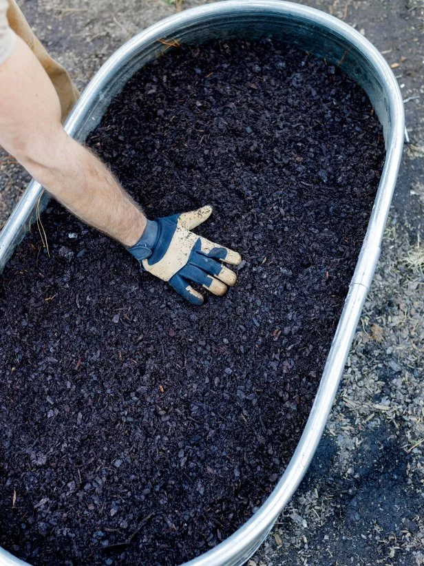 Putting the final layer of soil into the galvanized tub.