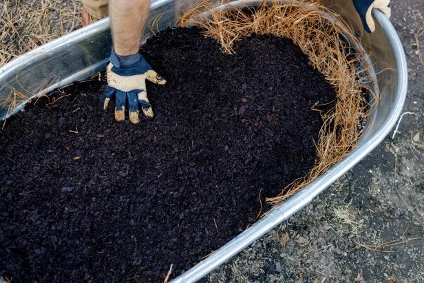 Filling the galvanized tub with soil. 