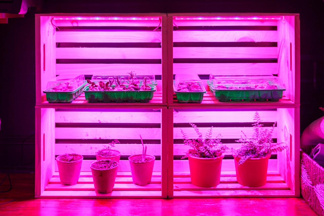 Diy Grow Stand For Indoor Plants And Seedlings Hgtv