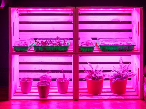 How to Make an Inexpensive Grow Stand for Indoor Plants and Seedlings