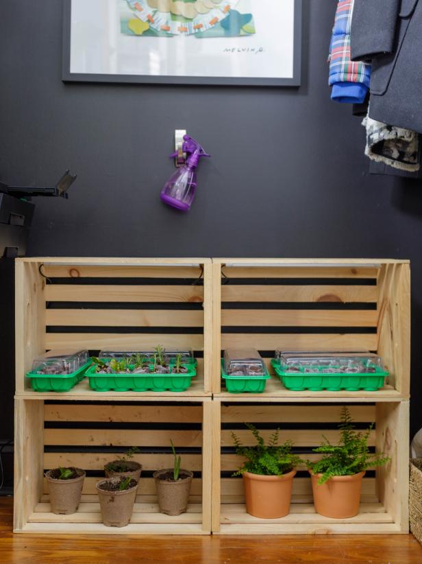 Crate shelves filled with seedlings and plants. 