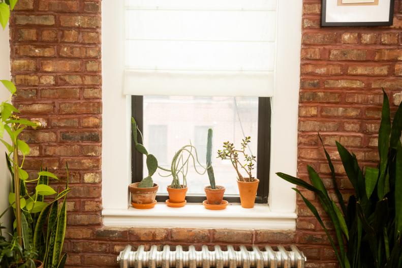 Small variety of houseplants on window framed by exposed brick